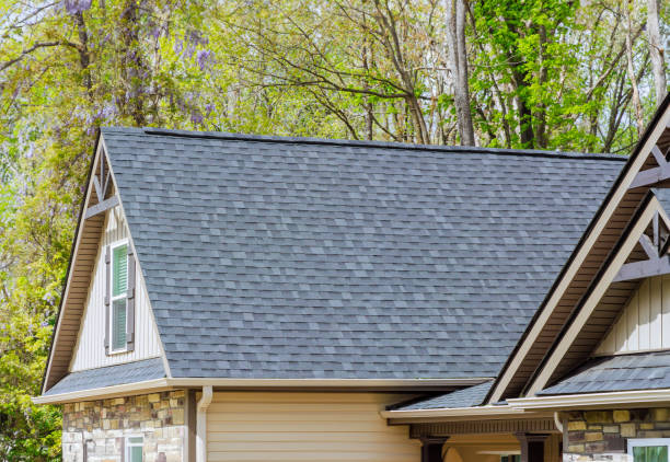 Professional Roofing Services in Niles, OH